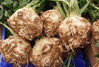 rotselleri