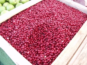 Lingonrecept Lingonrecept