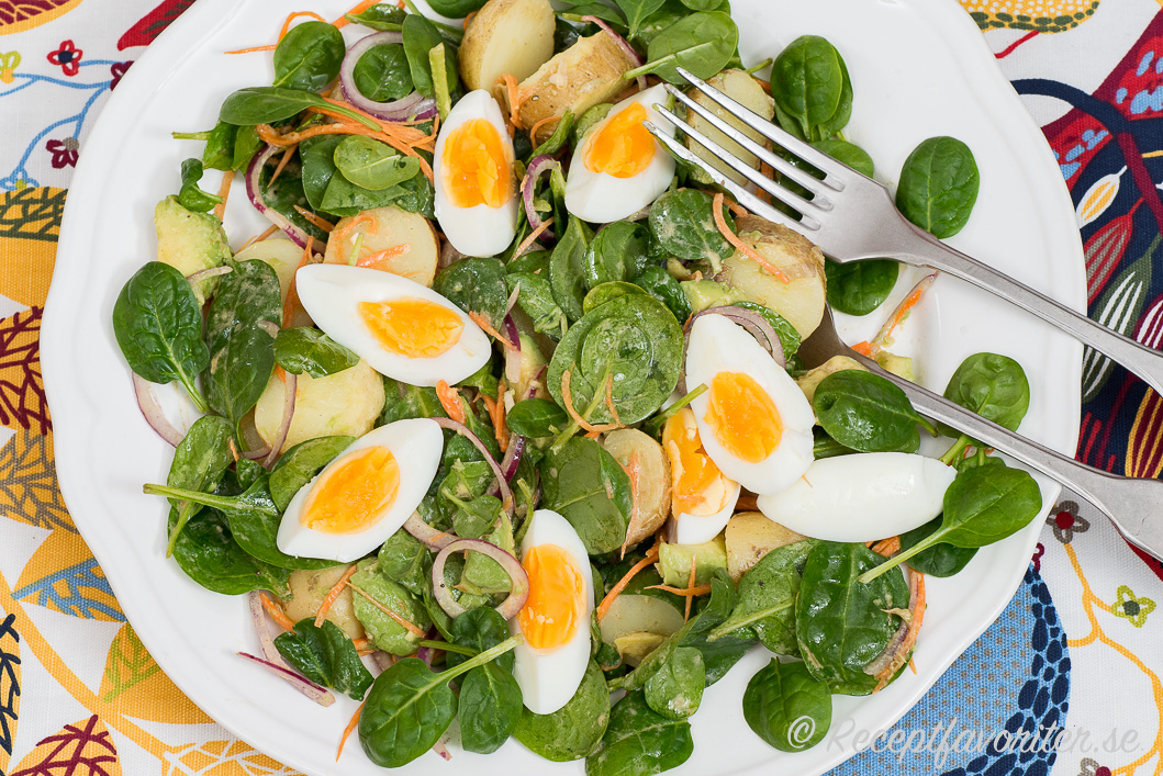 En grön potatissallad med ägg, spenat, rödlök och senapsdressing. 