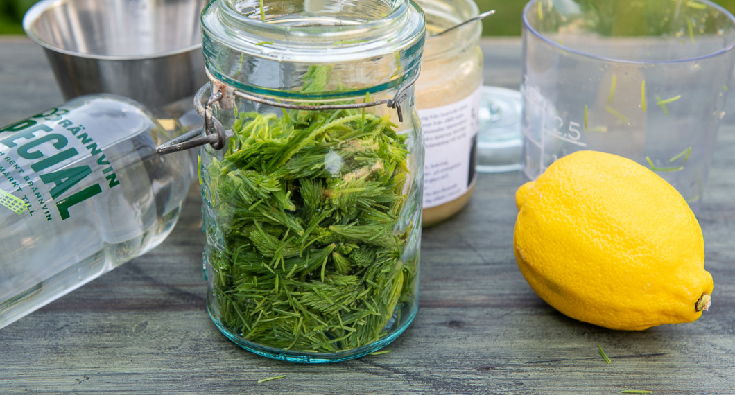 Förväll rensade granskott samt lägg i en ren glasburk. 