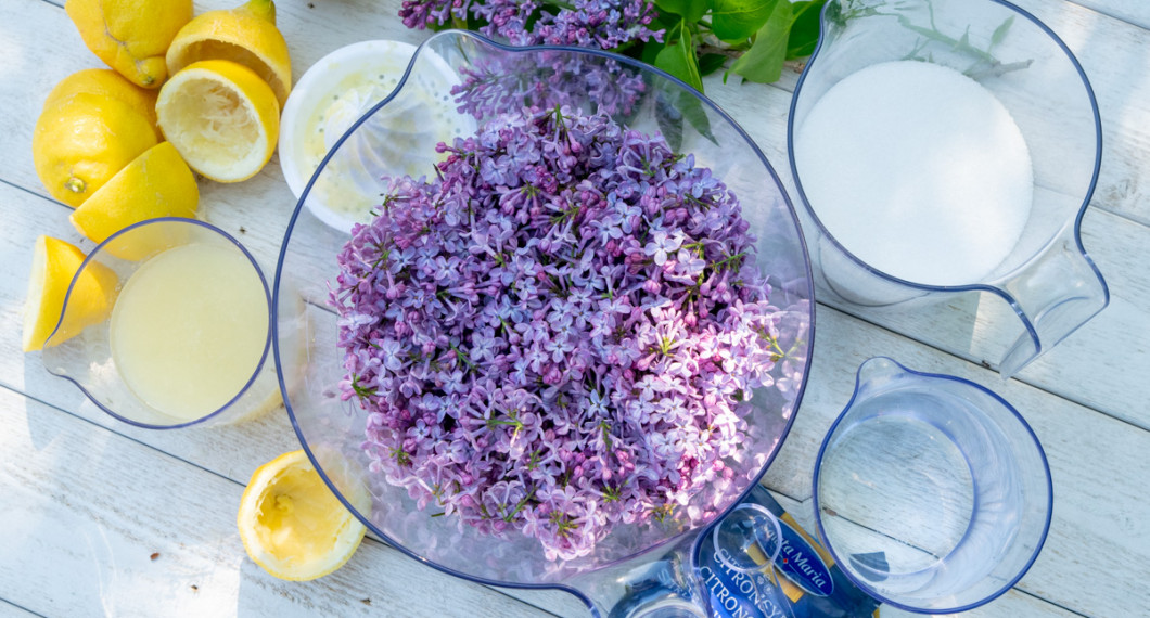 Ingredienser till syrensaften - rensade syrenblommor, citron, citronsyra, socker och natriumbensoat. 