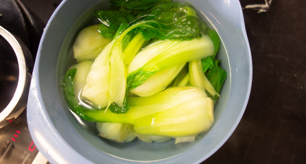 Häll av bok choy och kyld den hastigt i kallt rinnande vatten eller isvatten för att behålla den gröna färgen. 