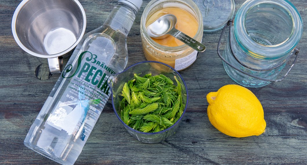 Till snapsen behöver du brännvin, färska granskott, honung och citron. 