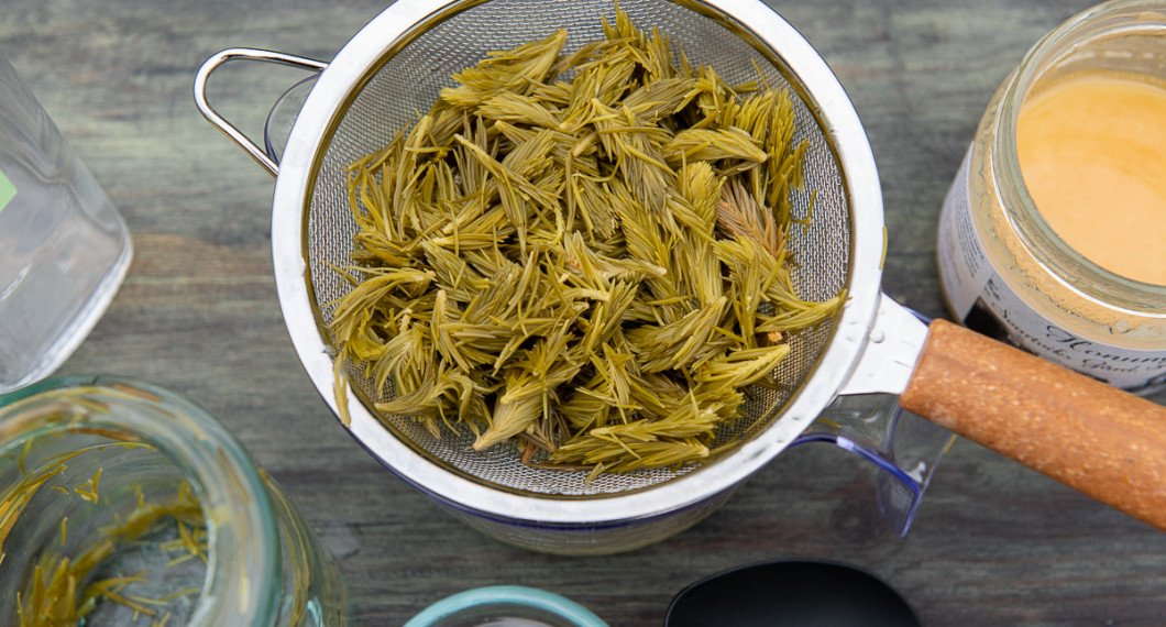 Sila av granskotten i en finmaskig sil. 