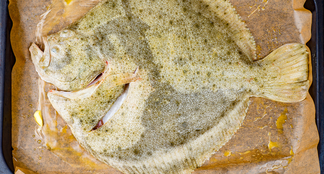 En hel piggvar i långpanna innan tillagning