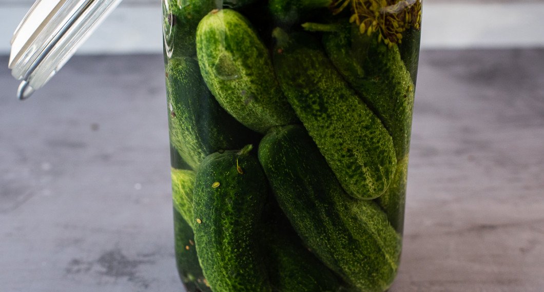Efter 10 dagar kan du sila bort lagen och skölja rent gurkorna från grums samt lägga in i ny saltlag. 