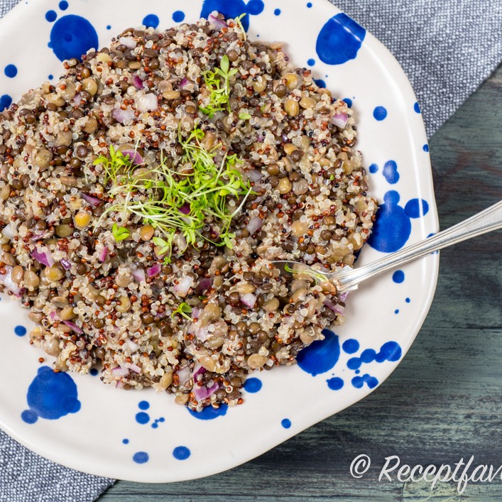 Qizlar mushuk jurnalini korsatadilar