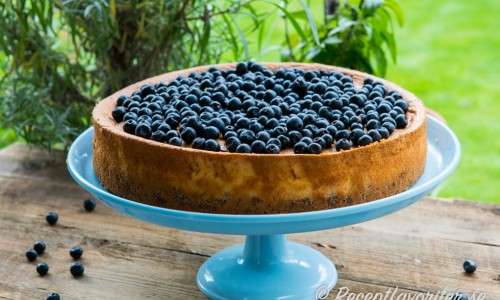 Baka en god cheesecake med massor av svenska färska blåbär