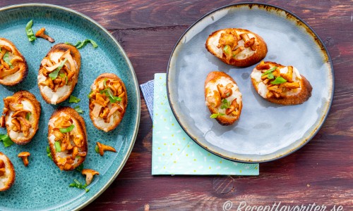 Kantarellcrostinis serverade på tallrik som tilltugg