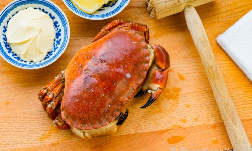Kokt krabba serverad med tillbehör