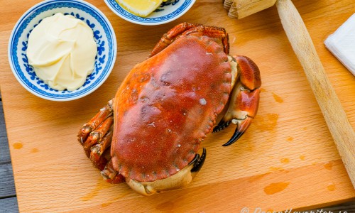 Recept med krabba