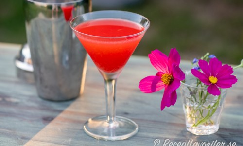 Monkey Gland cocktail i martiniglas. 