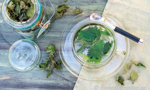 Te med nässelblad får en grön och lite örtig smak. 
