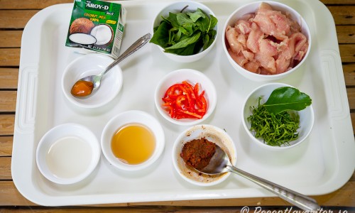 Ingredienser till thaikycklinggrytan