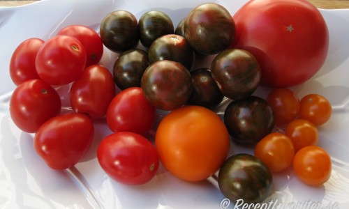 Recept med tomater