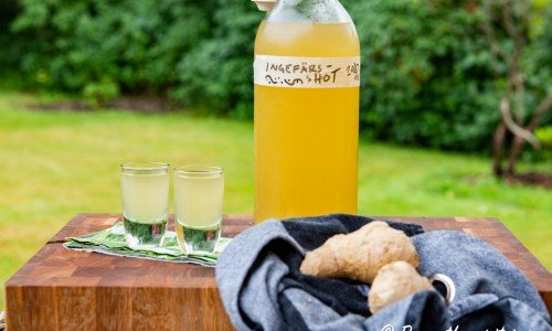 Ingefärsshot i flaska och shotglas