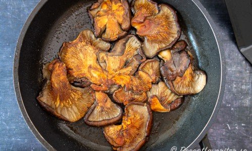 Stek färdigt svampen på andra sidan och krydda den sedan om du önskar det. 