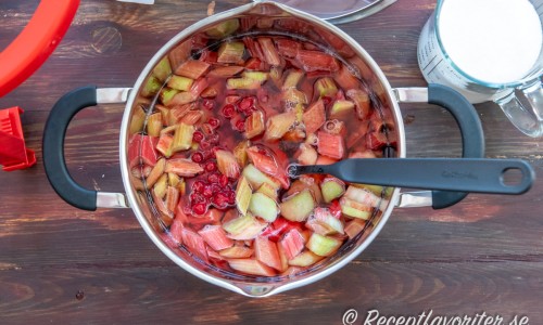 Rabarber och vinbär kokas ihop i en kastrull. 