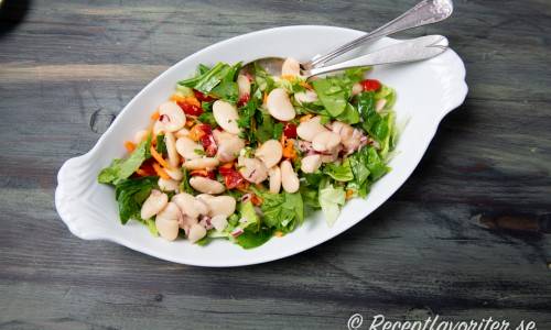 recept vita bönor sallad recept vita bönor sallad