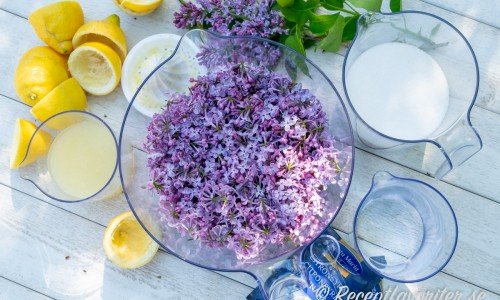 Ingredienser till syrensaften - rensade syrenblommor, citron, citronsyra, socker och natriumbensoat. 