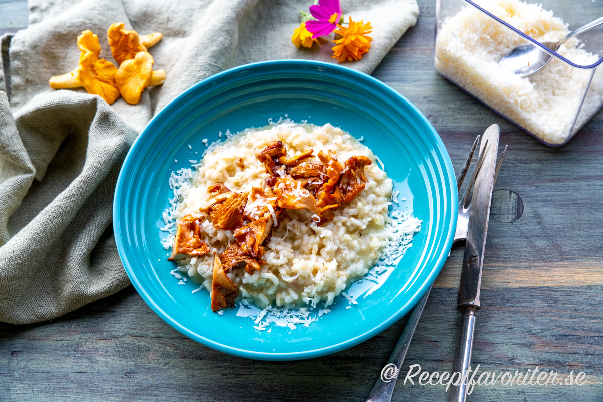 Gula fina kantareller och riven parmigiano reggiano toppar denna krämiga risotto. Gula fina kantareller och riven parmigiano reggiano toppar denna krämiga risotto.
