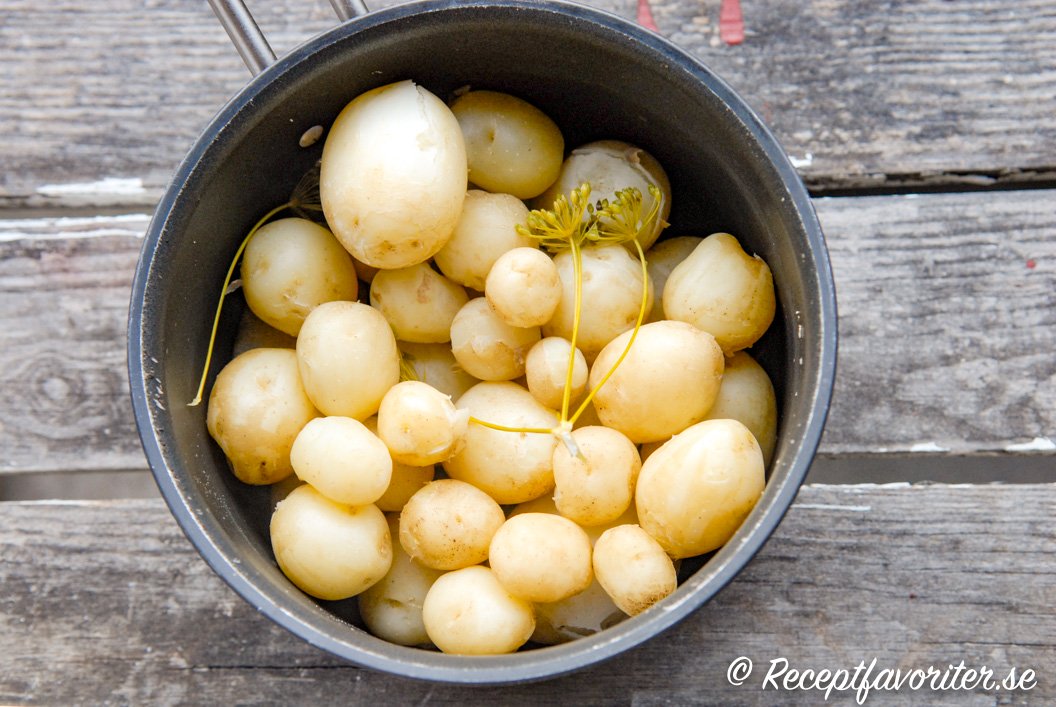 Kokt hemodlad potatis i kastrull Kokt hemodlad potatis i kastrull