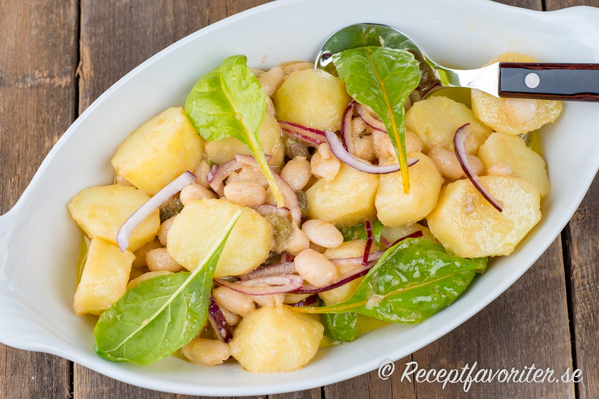 Kokt potatis som sallad med salt kapris, vita bönor, rödlök och mangoldskott. Kokt potatis som sallad med salt kapris, vita bönor, rödlök och mangoldskott.