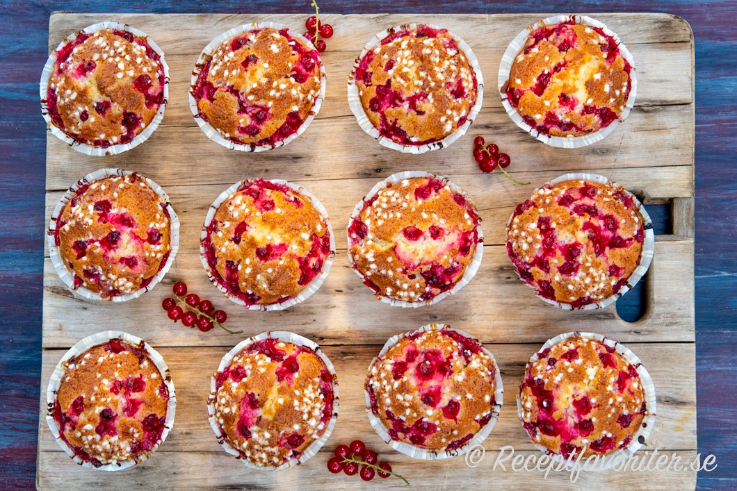 Vinbärsmuffins serverade till fikat Vinbärsmuffins serverade till fikat