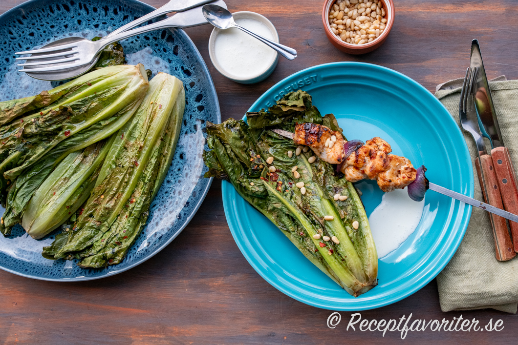 Grillad romansallad serverad som grönsakstillbehör med fetaostsås till kycklingspett Grillad romansallad serverad som grönsakstillbehör med fetaostsås till kycklingspett