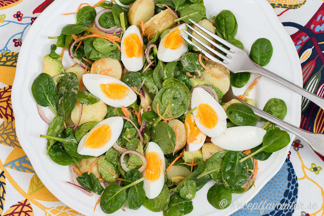En grön potatissallad med ägg, spenat, rödlök och senapsdressing. En grön potatissallad med ägg, spenat, rödlök och senapsdressing.